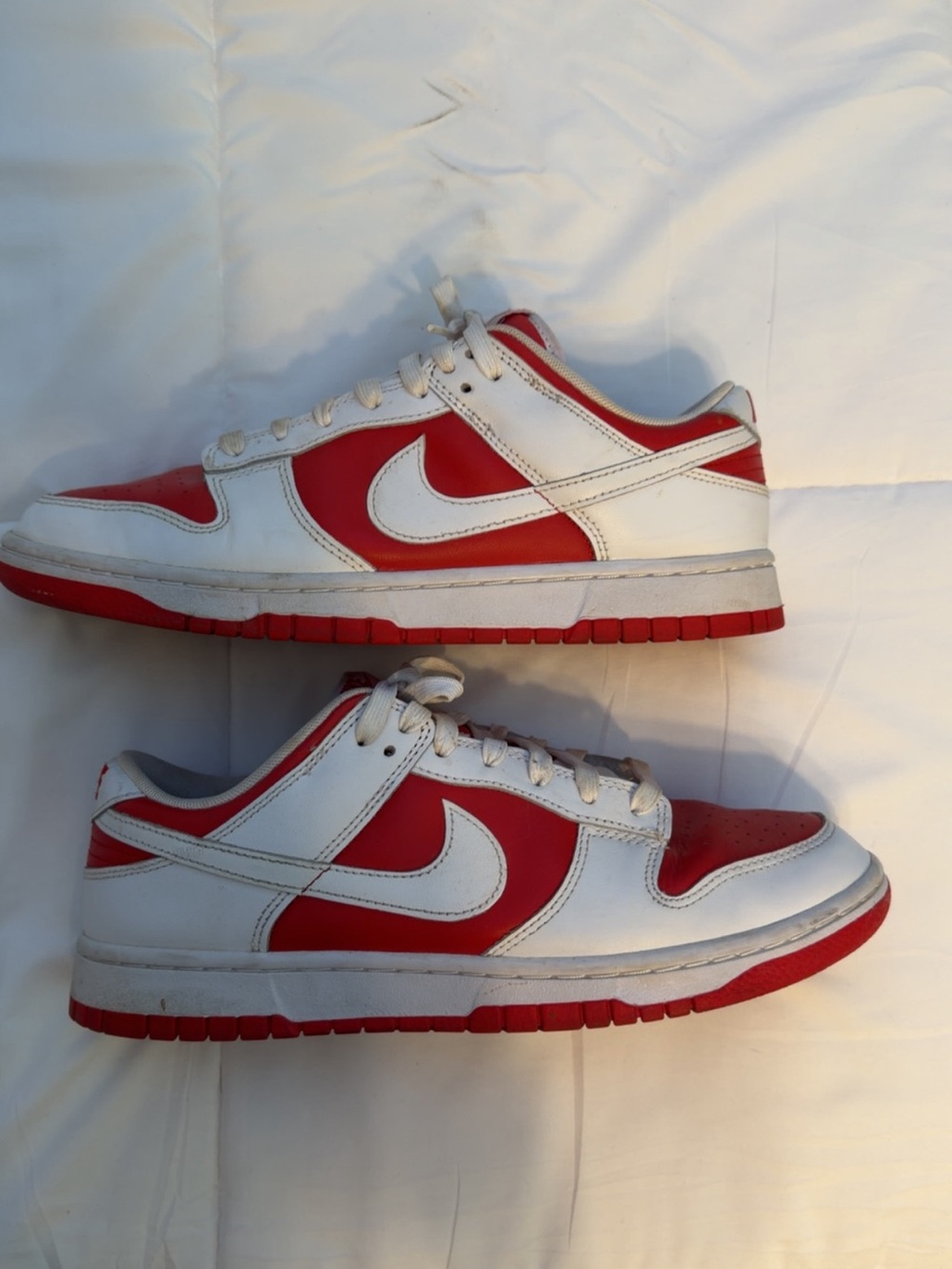 Men’s Nike dunks